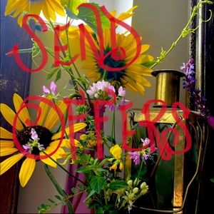 Make me an offer! I want to get rid of s*#%!